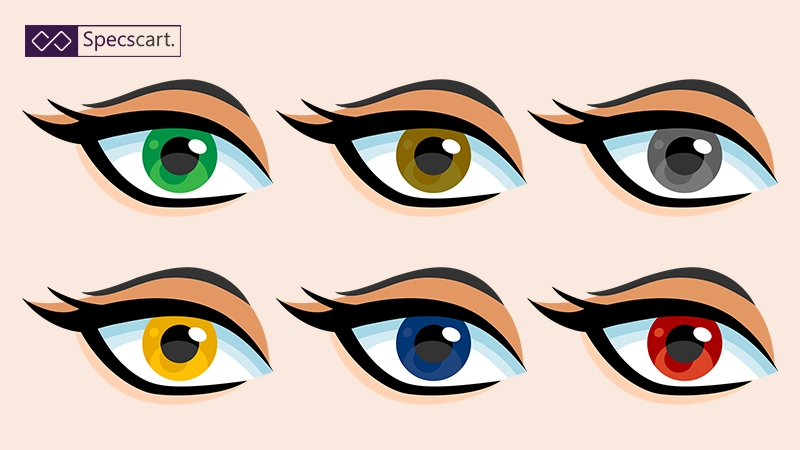 All You Need to Know About 7 Eyecolours | Specscart.®