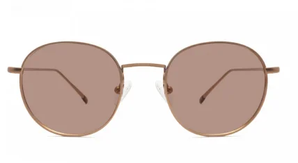  Brown Tinted Glasses