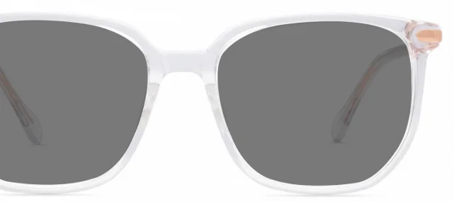 Grey Tinted Glasses
