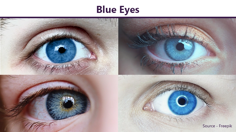 Are Blue Eyes A Factor of Genetics?