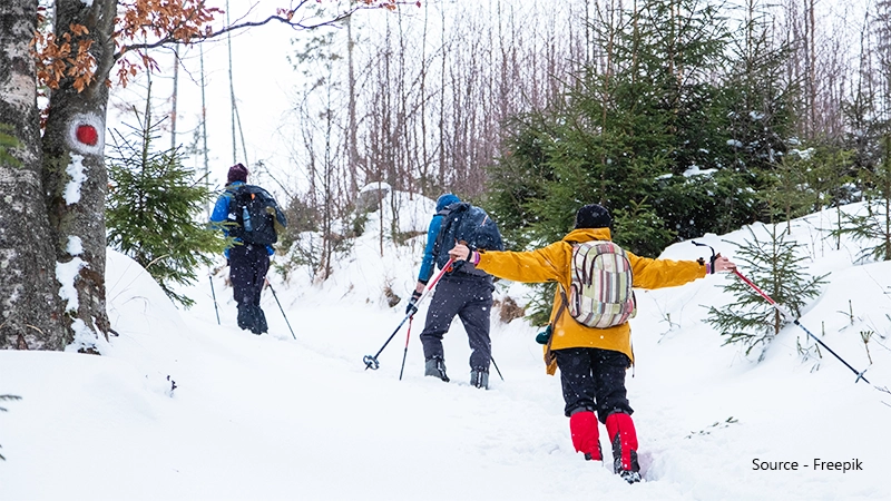 Snowshoeing in Winters