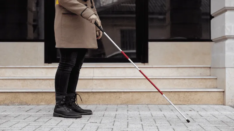 Image of a Blind Person's Stick