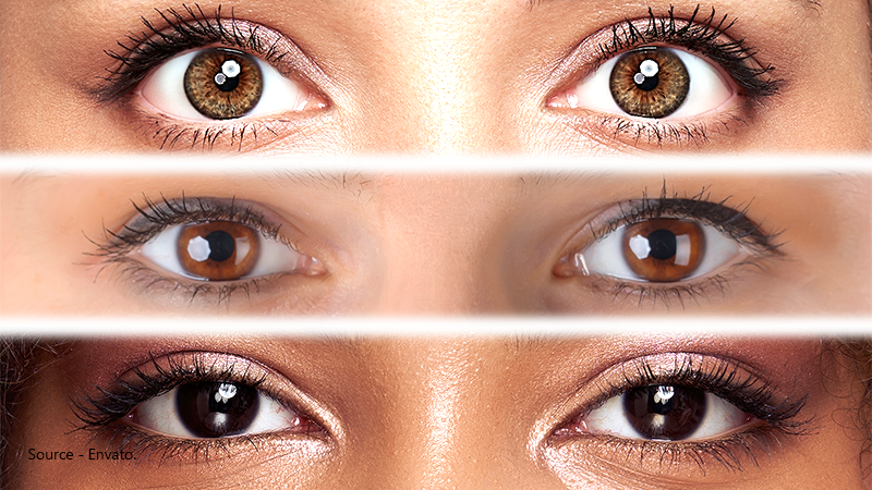 Different Shades of Brown Eyes